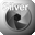 SILVER projects icon