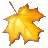 Maple Professional icon